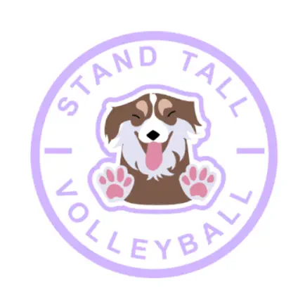 Stand Tall Volleyball Читы