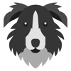 Border Collie Stickers