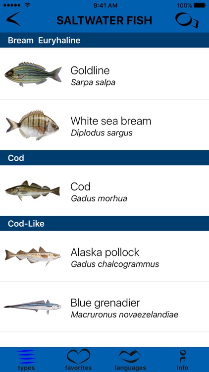 Seafoodopedia