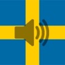Get Swedish Phrasebook for iOS, iPhone, iPad Aso Report