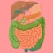 You can learn anytime and everywhere human digestive system as offline