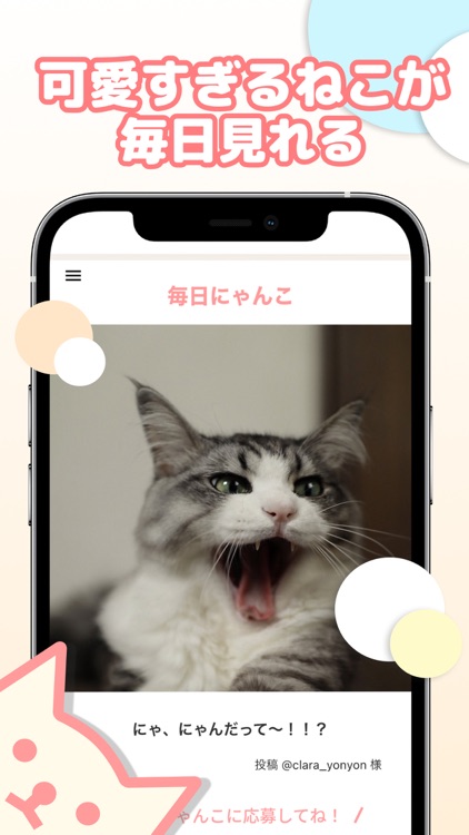 ねこ活。 screenshot-3