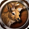 Wild Hunting: 3D Shooting Game