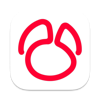 Navicat 16 for Oracle