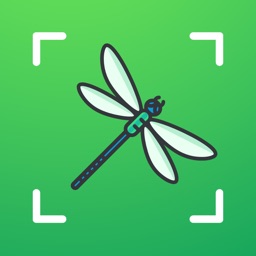 Bug identifier - Spider,Insect