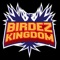 Race alongside other Birdez drivers from around the world in multiplayer