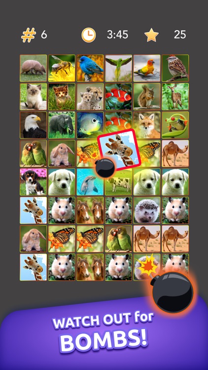 Onnect – Pair Matching Puzzle screenshot-4