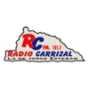 Carrizal Fm