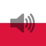 Get Polish Phrasebook for iOS, iPhone, iPad Aso Report