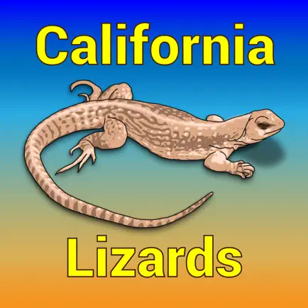 California Lizards Cheats