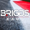 Briggs Kart Championship