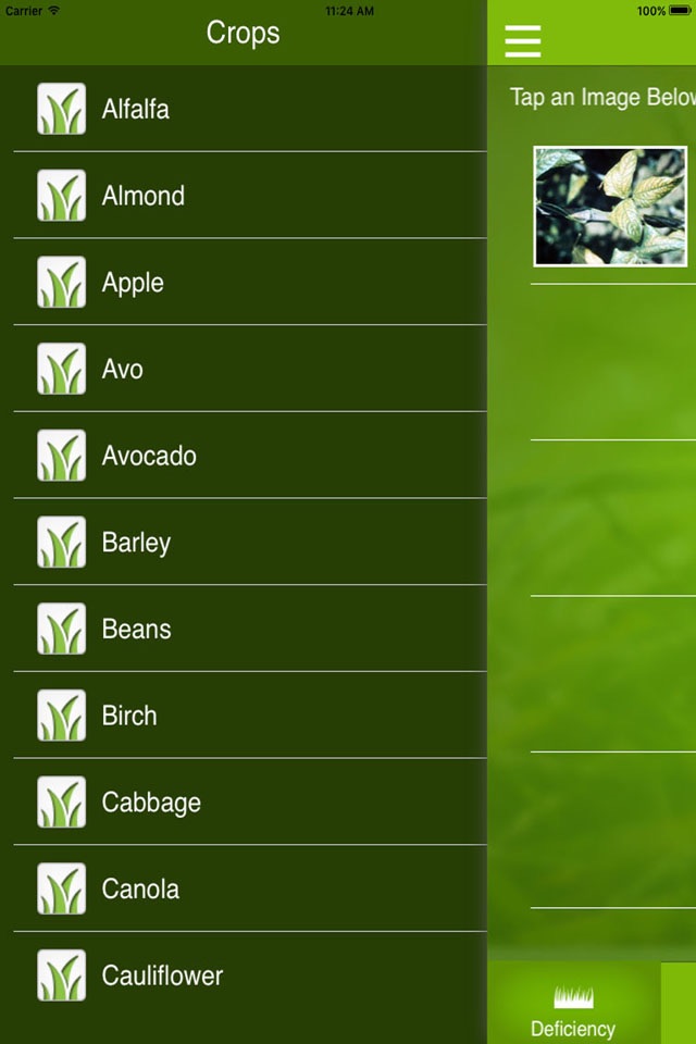 Nutrient Deficiencies by Crop screenshot 2