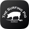 The Surfing Pig, Hawaii