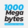 1000 megabytes