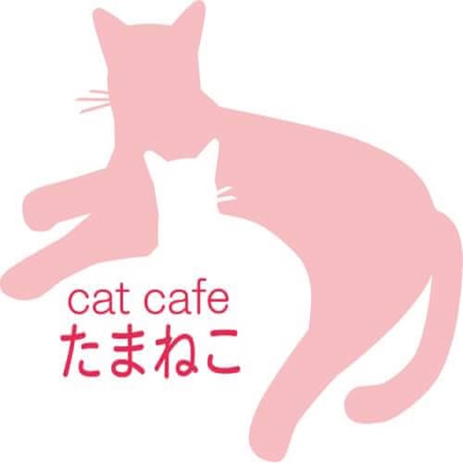 猫カフェたまねこ