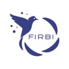 Химчистка Firbi