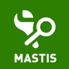 MasTis