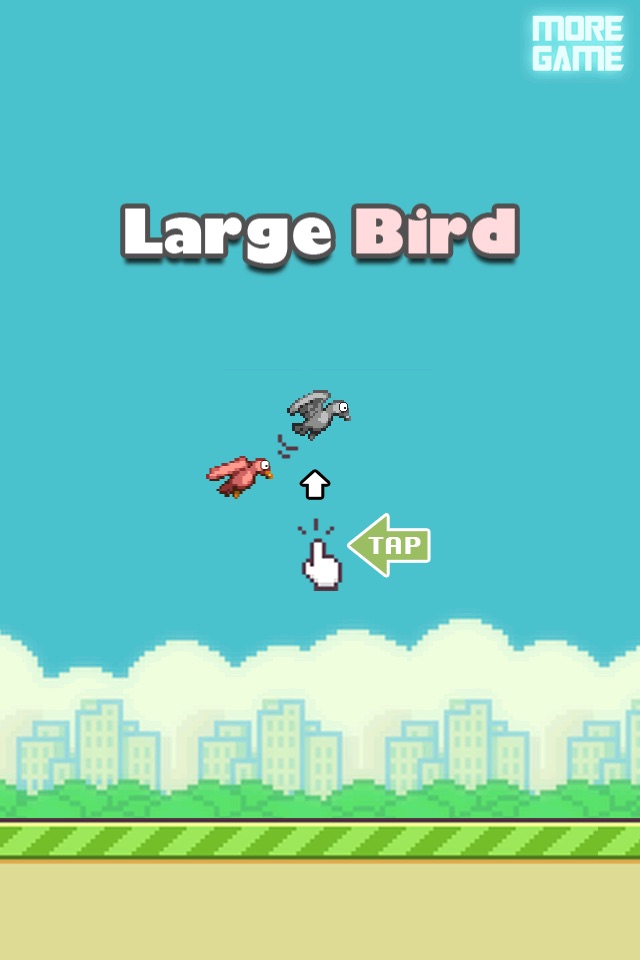Large Bird screenshot 2