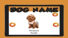 Game screenshot The Dog Name English Vocabulary hack