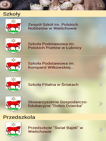 Wielichowo screenshot 3