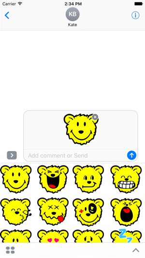 Smiley Bear Pack