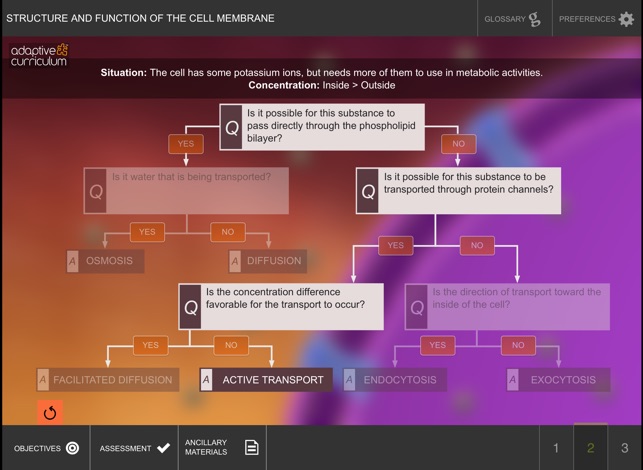 Cell Membrane(圖3)-速報App