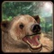Play the most advanced 3D wild angry bear simulated game for and experience the thrill of being a real Wild Bear Animal to rule the jungle arena by hunting and killing your deadliest prey