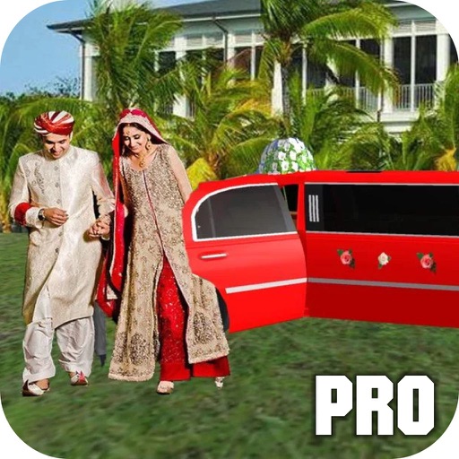 Wedding Car Driver Pro icon