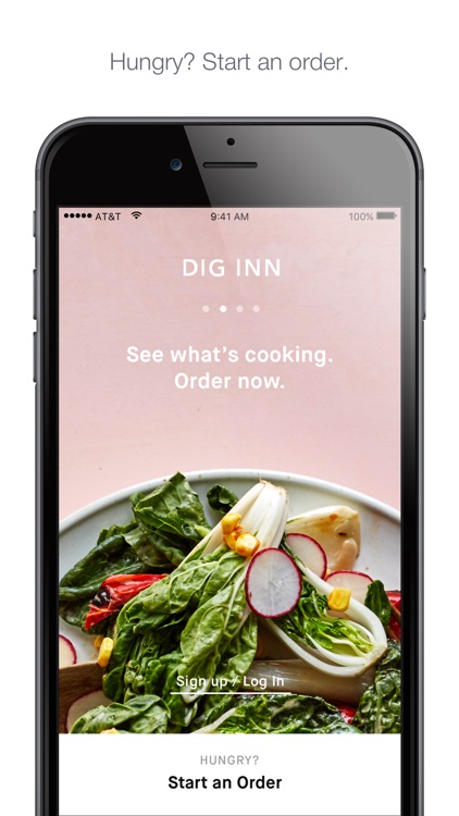 Dig Inn