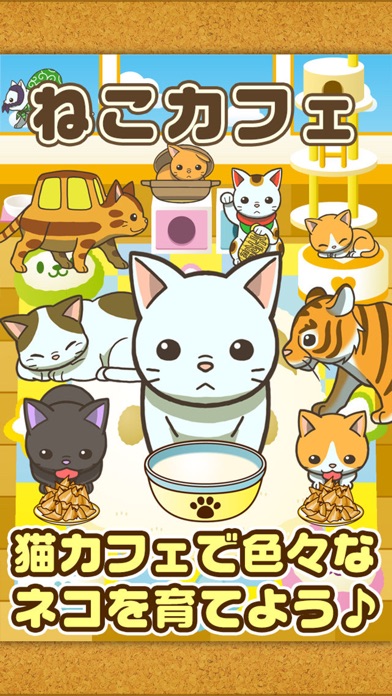 ねこカフェ~猫を育てる楽しい育成ゲーム~