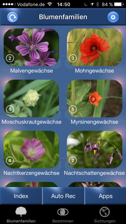 Blumen Id Automatik heimische Wildblumen bestimmen