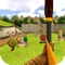 Archery Farmer Play is a very addictive archery shooting game