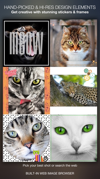 Meow Pics – Photo frames & stickers for cats