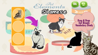 How to cancel & delete Cats And Kittens Shadow Matching Game from iphone & ipad 1