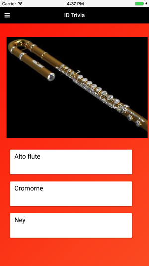 Woodwinds: Beautiful Wind Instruments(圖4)-速報App