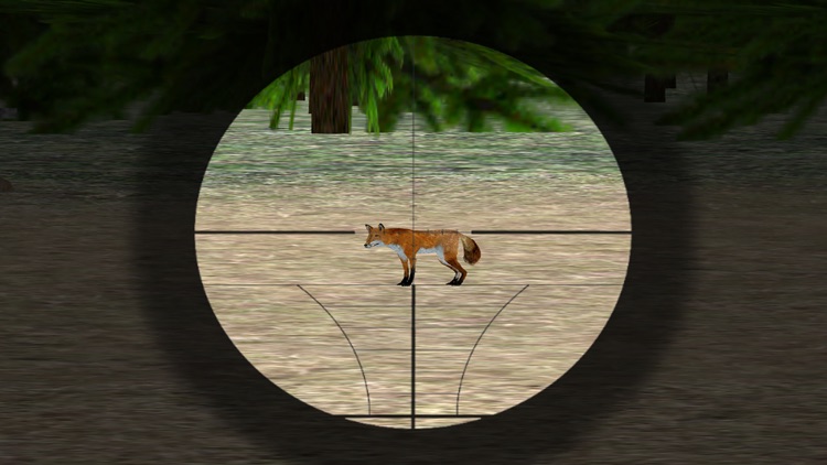 Sniper Hunt-er 3D: Wild Animal