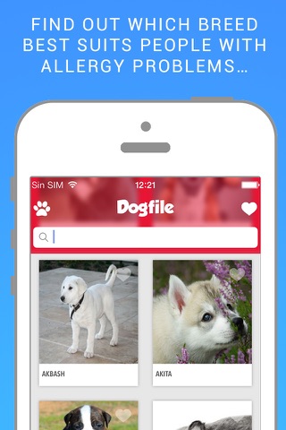 Dog File: Find the perfect dog breed that fits you screenshot 4