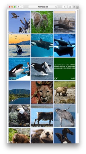 PhotoServer- WiFi photo share(圖5)-速報App