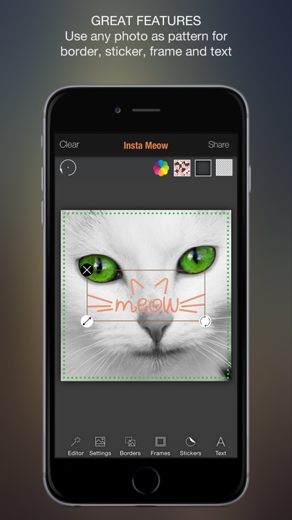 Meow Pics – Photo frames & stickers for cats