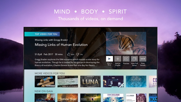 Gaia: Streaming Consciousness