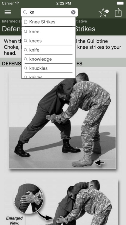 Hand-to-Hand Combat screenshot-3