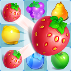 Activities of Fruits Splash HD