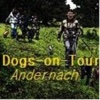 Dogs-on-Tour Andernach