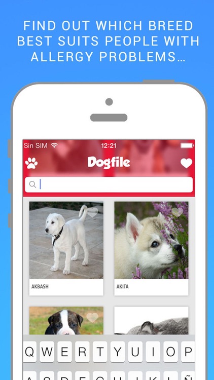 Dog File: Find the perfect dog breed that fits you screenshot-3