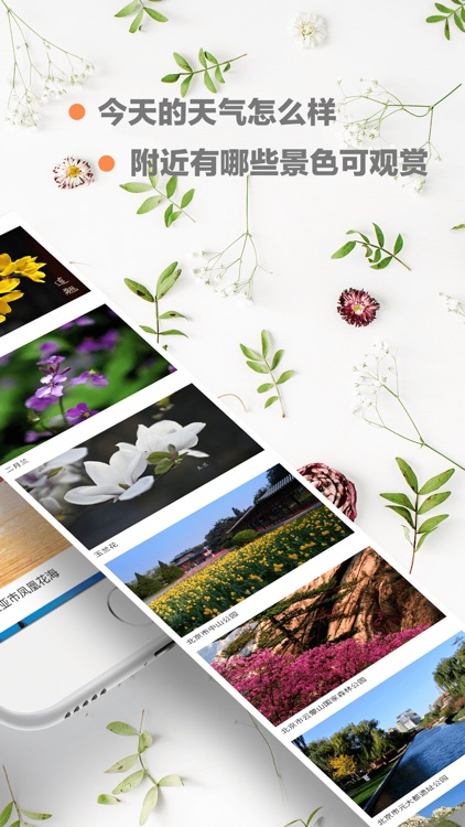 物语天气-天气景观查询，探索美丽中国