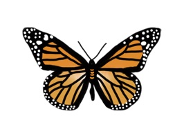 Adorn your messages with these hand-drawn butterflies from all around the world
