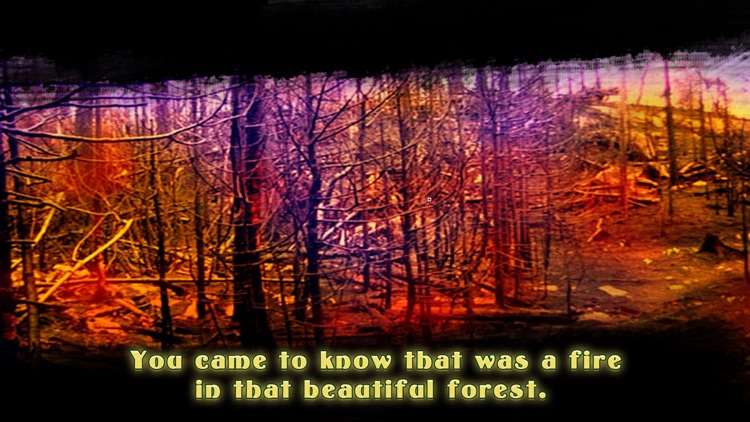 Can You Escape From The Fire Forest ?