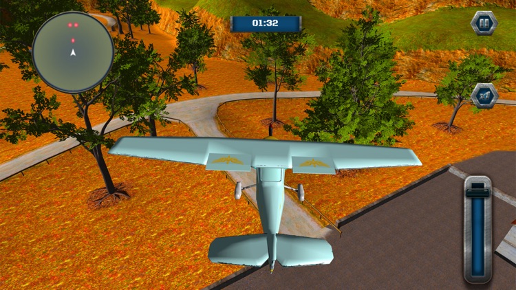 Airplane Flight Pilot Simulation -  3D Flying screenshot-4