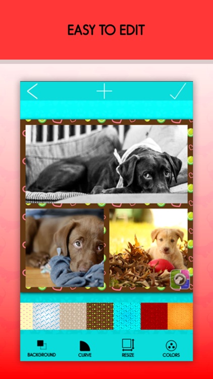 Pet Collage Maker and Edit.or