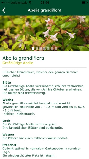 Meine Oldenburger App(圖4)-速報App